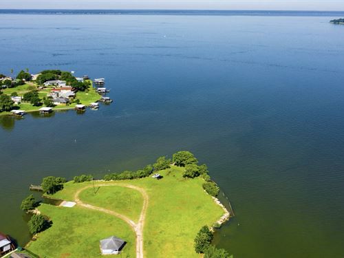 Wooded Lot Power & Water Near Lake : Livingston : Polk County : Texas