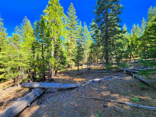 Build in No Flood Zone & Rent Rules : Alturas : Modoc County : California