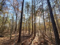 Beautiful Homesite in Redland Schoo : Wetumpka : Elmore County : Alabama
