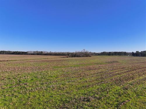 Beautiful Home Lot in Union Springs : Union Springs : Bullock County : Alabama