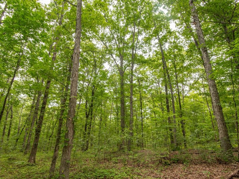 3 Acre Property for Sale in Wayn : Wappapello : Wayne County : Missouri