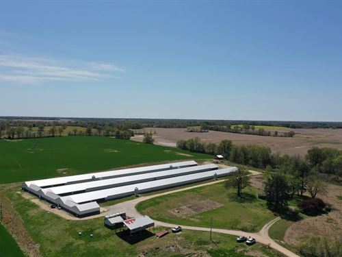 Ahmed Breeder Farm : Kenton : Gibson County : Tennessee