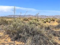 Build Homes with Road Access No HOA : Clint : El Paso County : Texas