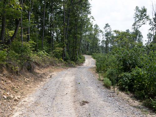 Off Grid Paradise, $999 Down : Mount Vernon : Rockcastle County : Kentucky