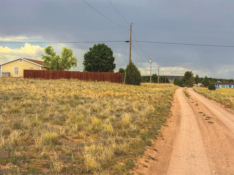 Lovely, Easy Home Lot & Electric : Paulden : Yavapai County : Arizona