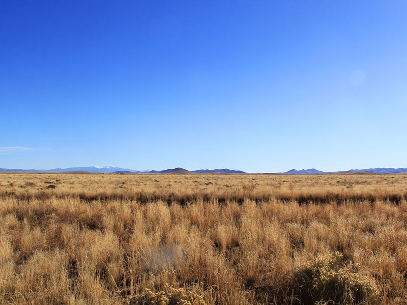 Colorado Land with Mountain Views : San Acacio : Costilla County : Colorado