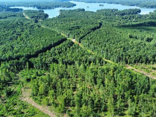 13 Acres Lee County, AL : Salem : Lee County : Alabama