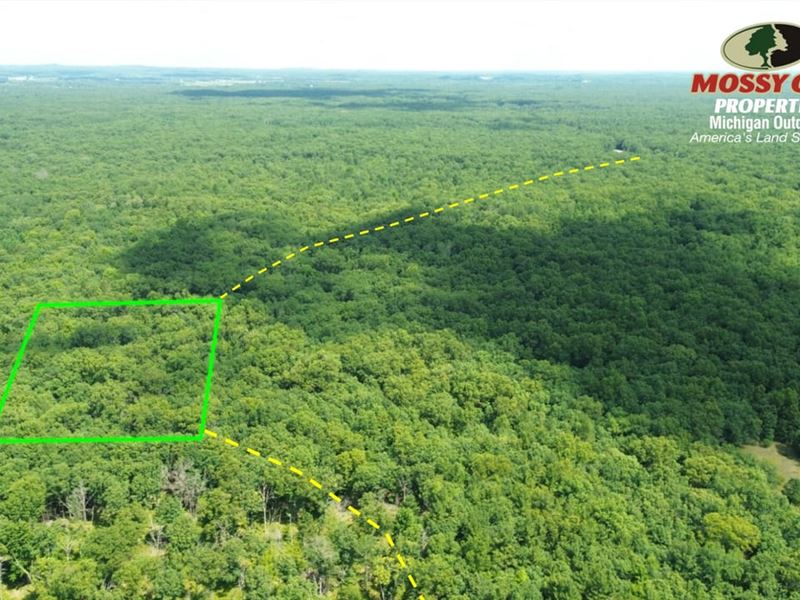2.5 Acre Outdoor Oasis / Oceana Cou : Rothbury : Oceana County : Michigan