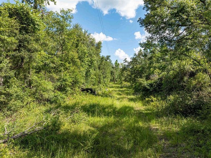 2.48 Acres in Withlacoochee Riv : Jasper : Hamilton County : Florida