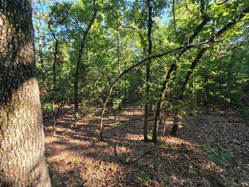 Buzzard Gap Mountain Retreat, 5 Ac : Wilburton : Latimer County : Oklahoma
