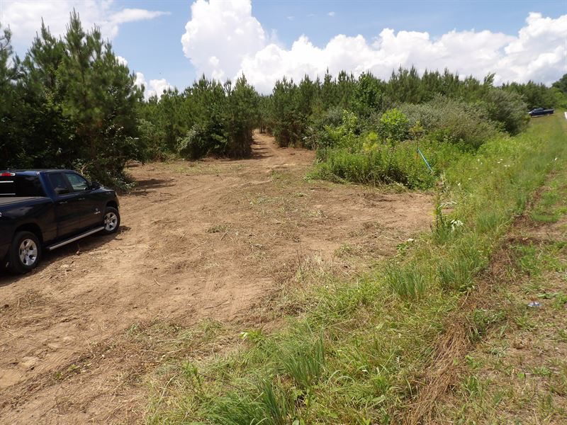Public Water, Driveway, Paved Road : Evensville : Bledsoe County : Tennessee