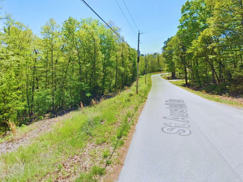 Private 0.27 Acre $125/Mo : Bella Vista : Benton County : Arkansas