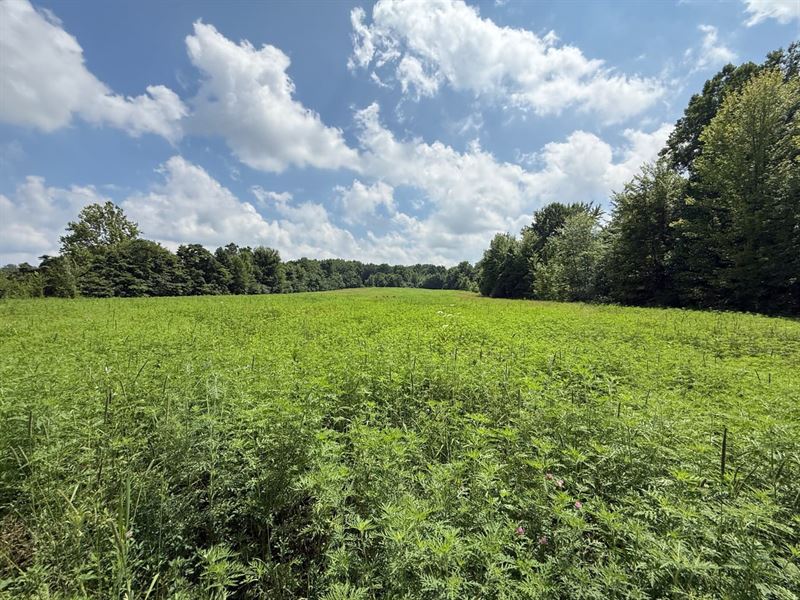 5 Acres in Poland, Indiana : Poland : Clay County : Indiana