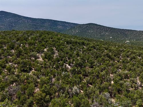 Lot 6 Skyline Sandia Park : Sandia Park : Sandoval County : New Mexico