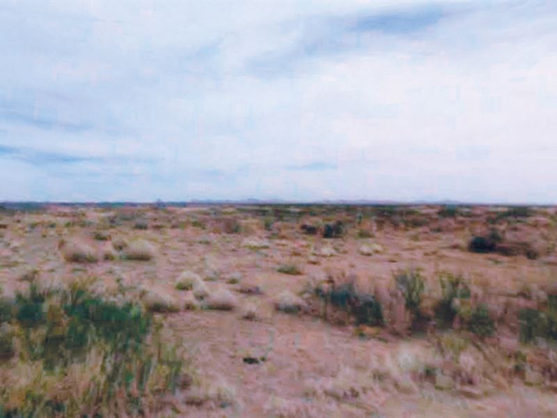 Incredible Half Acre Lot for Sale : Deming : Luna County : New Mexico