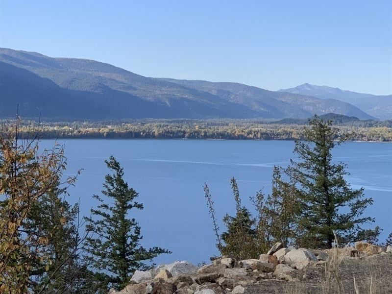 Crown Jewel : Sagle : Bonner County : Idaho