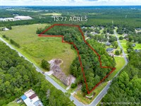 Tract 1, 13.77 Acres, Sunset Blvd : Jesup : Wayne County : Georgia