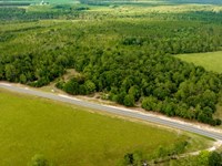 Telfair County Homesite : Jacksonville : Telfair County : Georgia