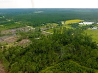 Telfair Pines : McRae : Telfair County : Georgia