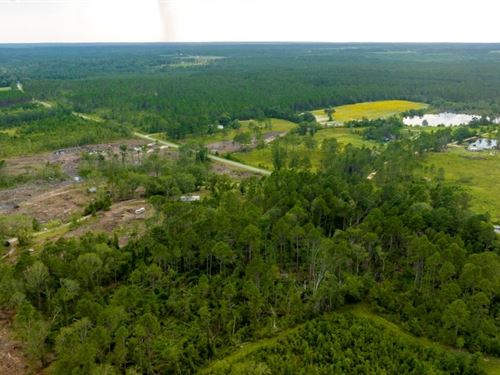 Telfair Pines : McRae : Telfair County : Georgia