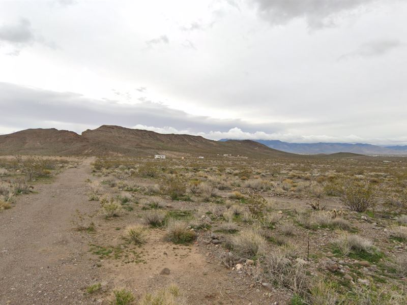 Wide-Open Arizona Freedom : Dolan Springs : Mohave County : Arizona