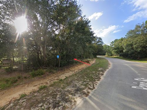 Lot in Interlachen, Just $186/Mo : Interlachen : Putnam County : Florida