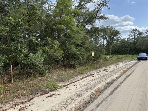 Quiet Homesite in Florida Lakes : Interlachen : Putnam County : Florida