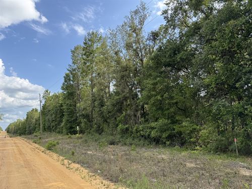 Double Lot Near Lake Grandin : Interlachen : Putnam County : Florida