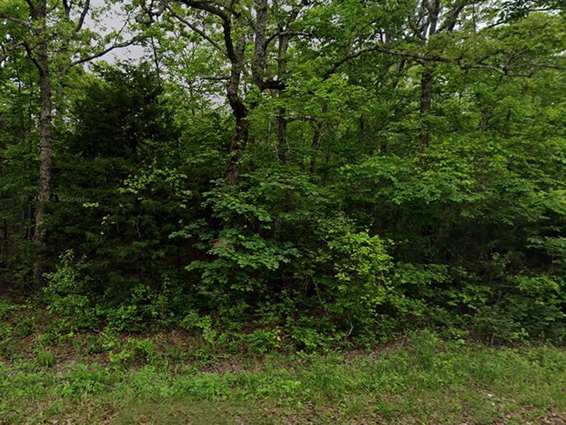 Great 0.25 Acre Property Awaits : Horseshoe Bend : Izard County : Arkansas