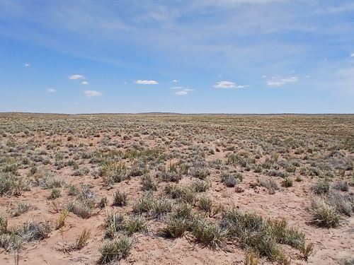Own 1.25 Acres in Arizona Rancheros : Sun Valley : Navajo County : Arizona