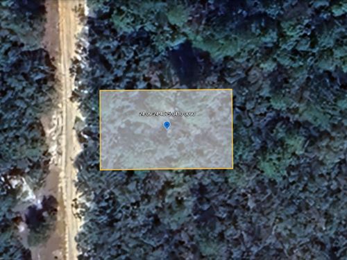 .22 Ac Residential Land, Rd Access : Interlachen : Putnam County : Florida