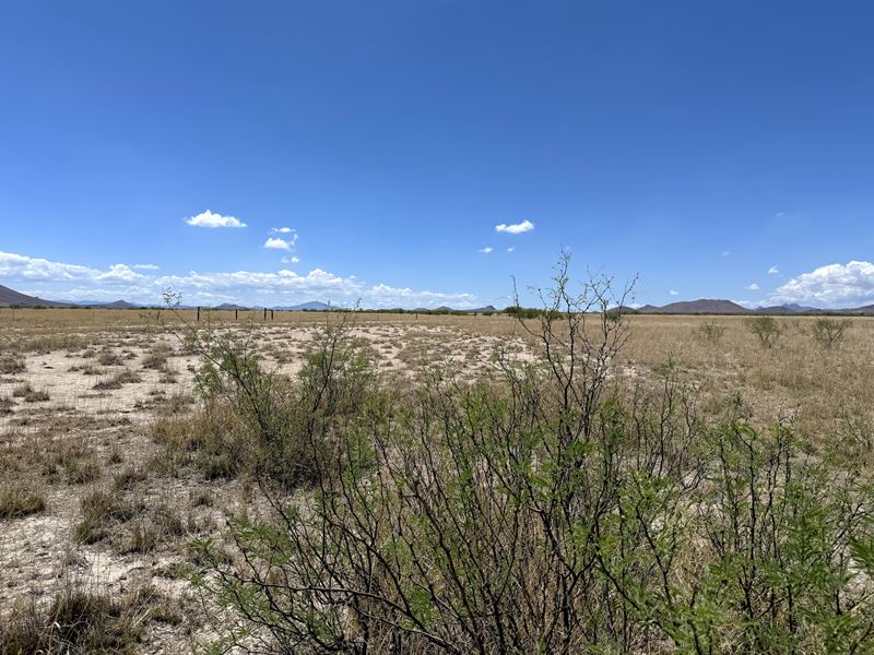 Low Maintenance Future Home & Taxex : Willcox : Cochise County : Arizona