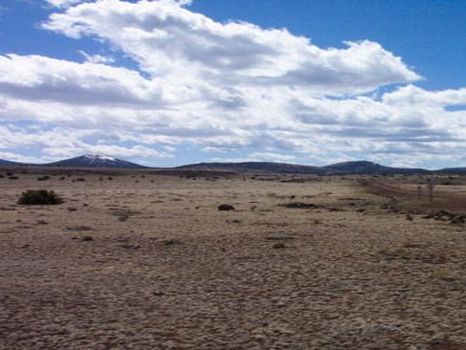 10 Acres - $14,950 : Sanders : Apache County : Arizona