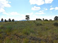 Chama West 10 : Chama : Rio Arriba County : New Mexico