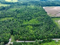 Itawamba County's Premier Jewel : Golden : Itawamba County : Mississippi