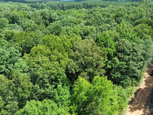 4 Acres Coosa Co : Goodwater : Coosa County : Alabama