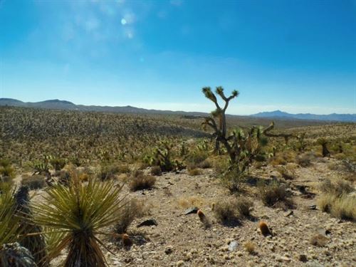 Vibrant Lake Mead City Mohave : Meadview : Mohave County : Arizona