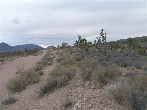 Picturesque Lake Mead City 1.25 : Meadview : Mohave County : Arizona