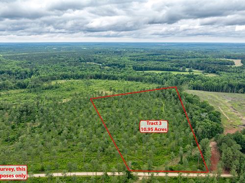 Tract 3 McWhorter Road : Stephens : Oglethorpe County : Georgia