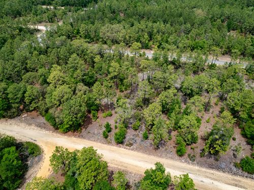 Interlachen Residential Vacant Lot : Interlachen : Putnam County : Florida