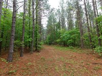 $999 Down, No Credit Check : Holladay : Benton County : Tennessee