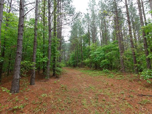 $999 Down/No Credit Check : Holladay : Benton County : Tennessee