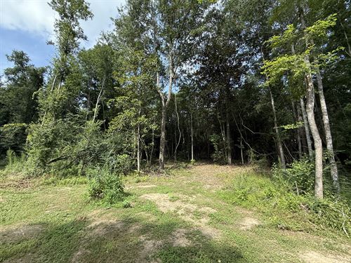 20 Ac Montgomery Rd, Summit, MS : Summit : Lincoln County : Mississippi