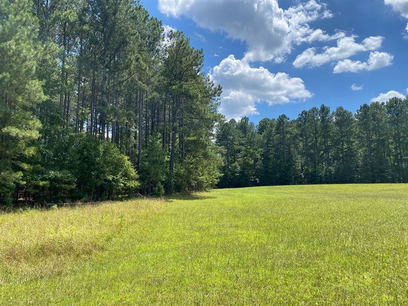 7.42 Acres On Sandy Springs Roa : Pelzer : Greenville County : South Carolina