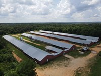 New Price, Welch Breeder Farm : Ozark : Dale County : Alabama
