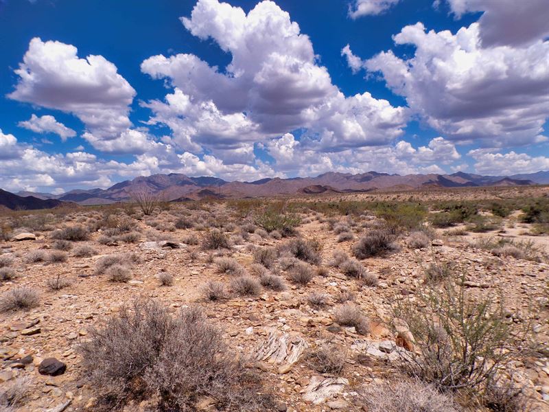 Your 2 Acre Desert Adventure Place : Yucca : Mohave County : Arizona