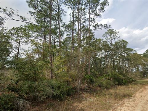 Country Charm $199 Down Gets You In : Interlachen : Putnam County : Florida