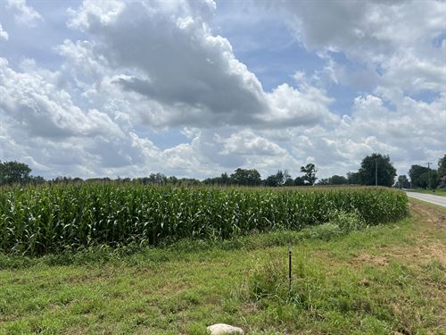 Incredible Opportunity : Hopkinsville : Christian County : Kentucky