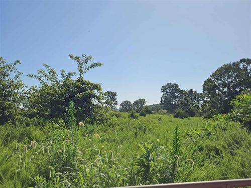 Ozarks Retreat Land Near Lake : Gainesville : Ozark County : Missouri