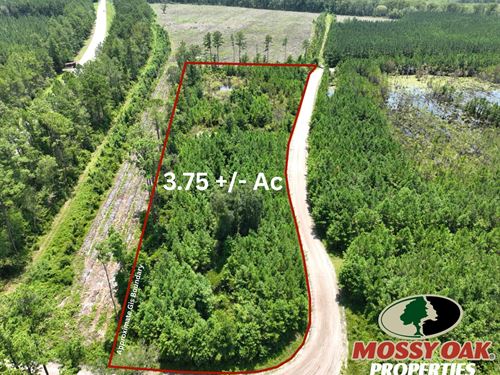 3.75 Acres Chaney Rd Tract White Oa : White Oak : Camden County : Georgia